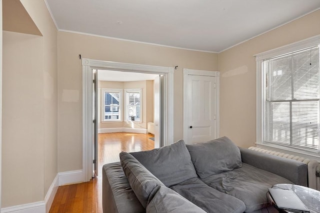 living room with ornamental molding and light hardwood / wood-style flooring