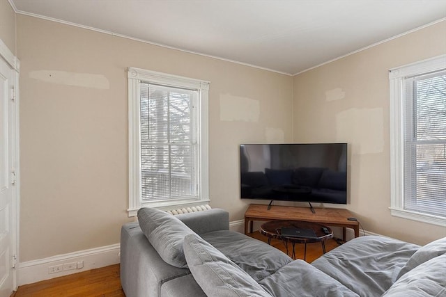 living room featuring crown molding and hardwood / wood-style floors