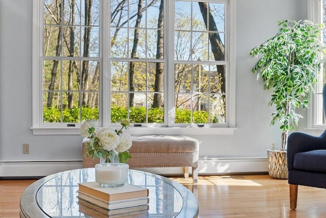 living area featuring a baseboard radiator, baseboard heating, and wood finished floors