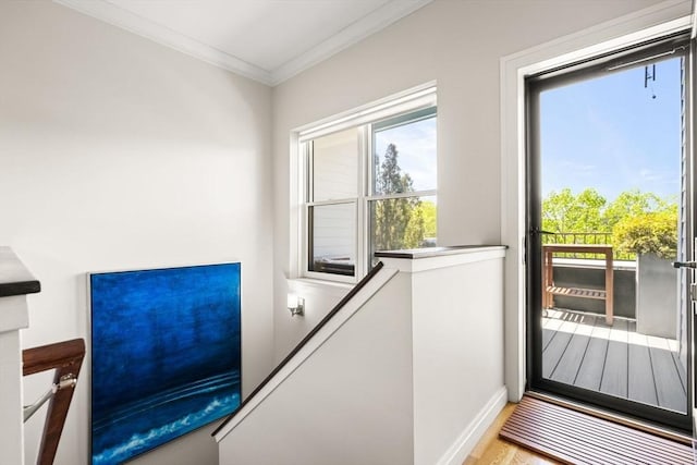 doorway featuring ornamental molding, plenty of natural light, wood finished floors, and baseboards