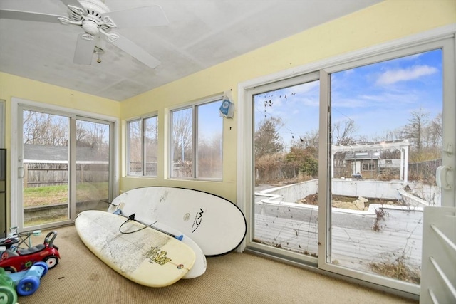 sunroom with carpet floors