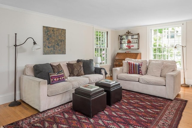40 Stone Rd, Belmont, MA 02478 - living area featuring wood finished floors, crown molding, and baseboards