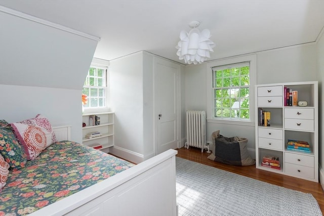 40 Stone Rd, Belmont, MA 02478 - bedroom featuring radiator, wood finished floors, a chandelier, and multiple windows