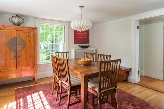 40 Stone Rd, Belmont, MA 02478 - dining room with light wood finished floors, ornamental molding, and baseboards
