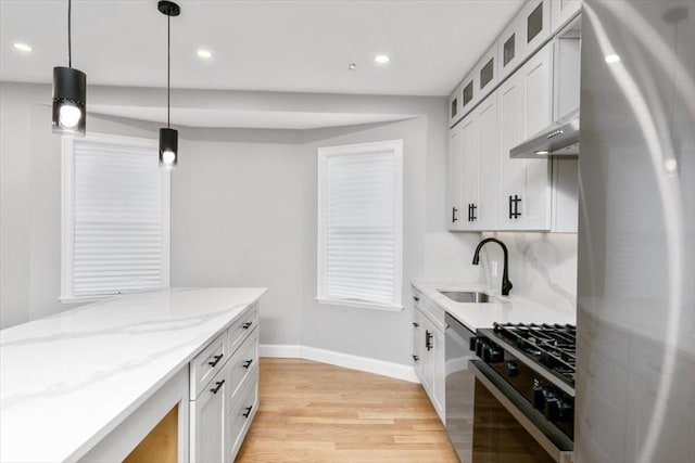 755 Boylston St Unit 2, Brookline, MA 02467 - kitchen featuring stainless steel appliances, under cabinet range hood, baseboards, light wood finished floors, and a sink