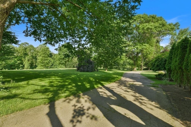 surrounding community with a lawn