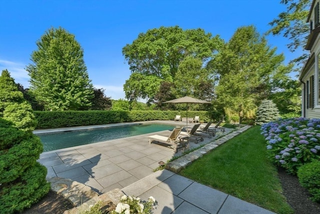 view of pool with a fenced in pool and a patio area