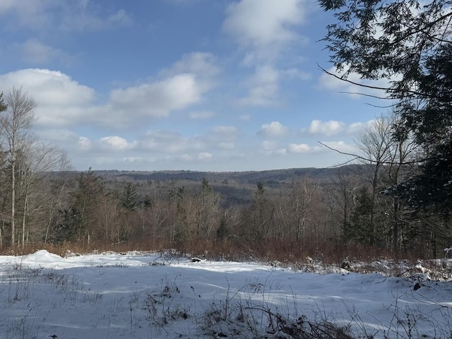 0 Blair Rd, Blandford MA, 01008 land for sale