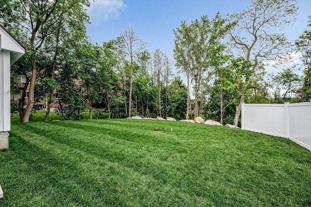 1514 Gorham St Unit 2, Lowell, MA 01852 - view of yard