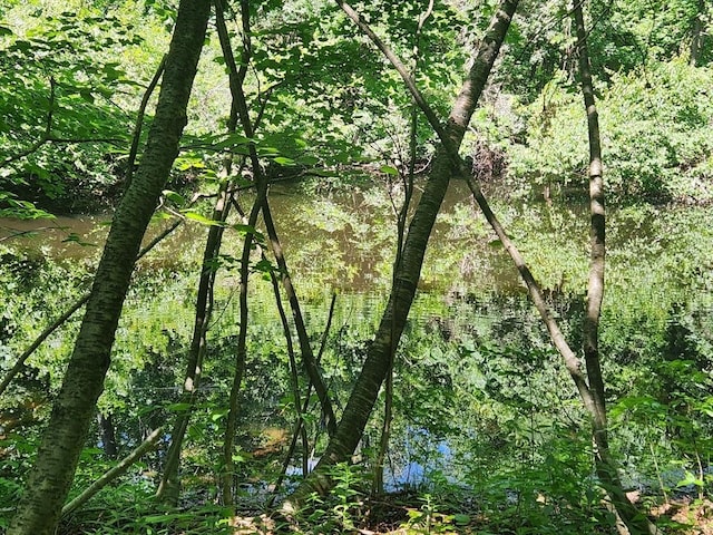 134 Mountain Rd, Princeton, MA 01541 - view of tree filled area