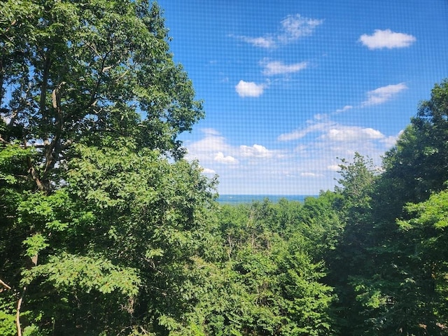134 Mountain Rd, Princeton, MA 01541 - view of tree filled area
