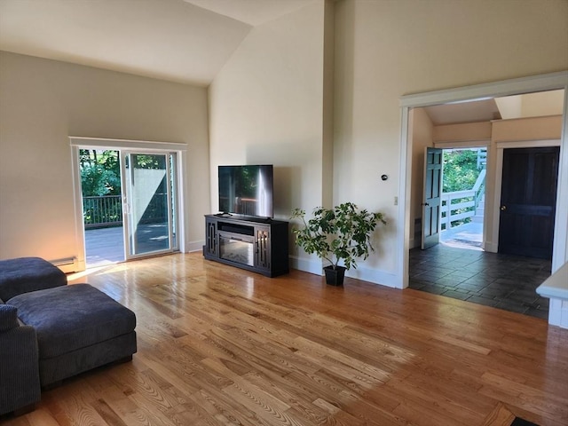 134 Mountain Rd, Princeton, MA 01541 - living area with wood finished floors, high vaulted ceiling, baseboard heating, baseboards, and a fireplace