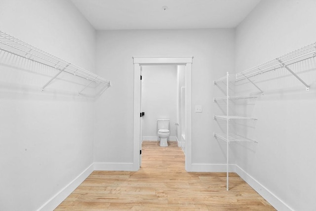 spacious closet featuring hardwood / wood-style floors