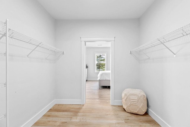 spacious closet featuring hardwood / wood-style floors