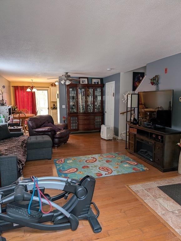 living room featuring hardwood / wood-style flooring and a textured ceiling