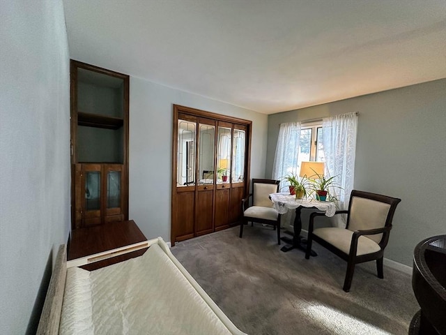 living area with baseboards and carpet floors