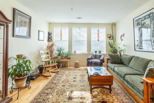 living area featuring wood-type flooring