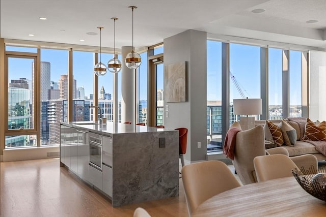 kitchen with a healthy amount of sunlight, modern cabinets, and wood finished floors