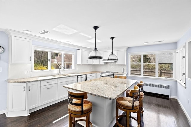 9 Lily Pond Ln, Cohasset, MA 02025 - kitchen featuring dark wood-style flooring, a sink, radiator, stainless steel appliances, and visible vents