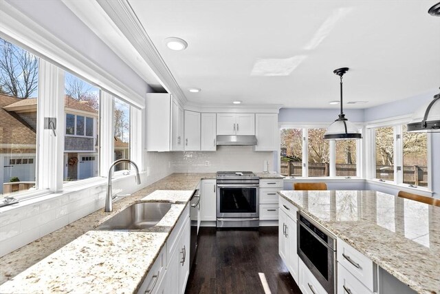 9 Lily Pond Ln, Cohasset, MA 02025 - kitchen with white cabinetry, under cabinet range hood, tasteful backsplash, a sink, and appliances with stainless steel finishes