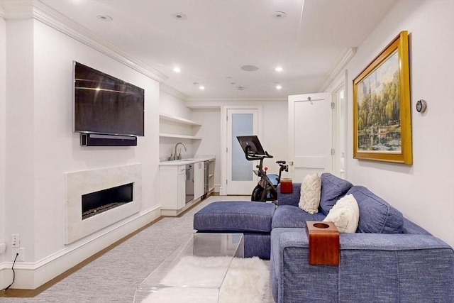 living room featuring built in shelves, sink, a fireplace, and ornamental molding