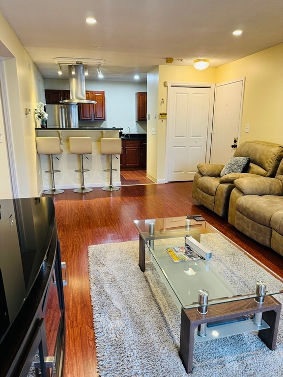 living room featuring dark wood-type flooring and sink