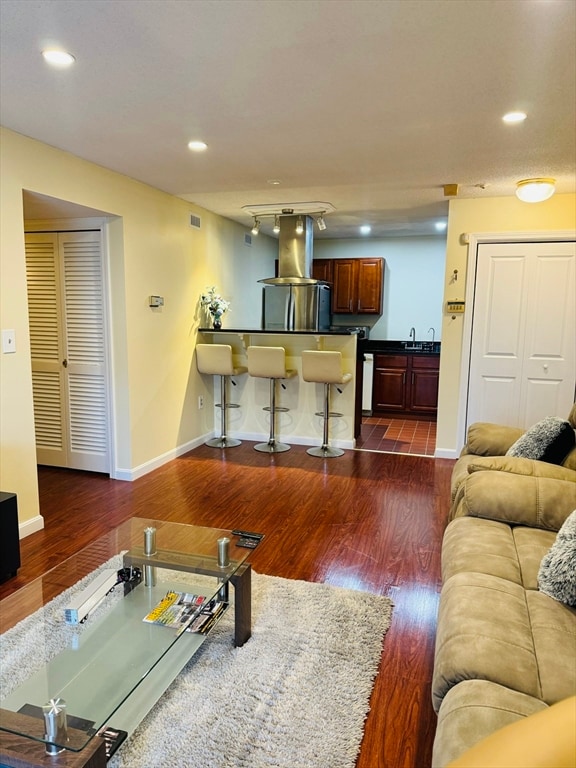 living room featuring dark hardwood / wood-style flooring and sink