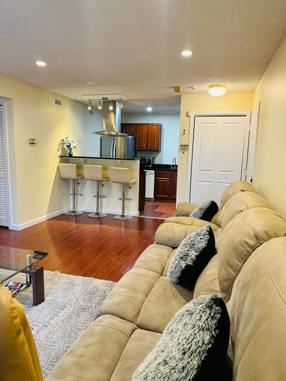 living room featuring sink and dark wood-type flooring