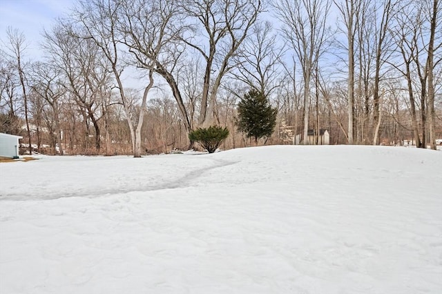 view of yard covered in snow