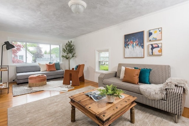 living area with wood finished floors, crown molding, and a textured ceiling