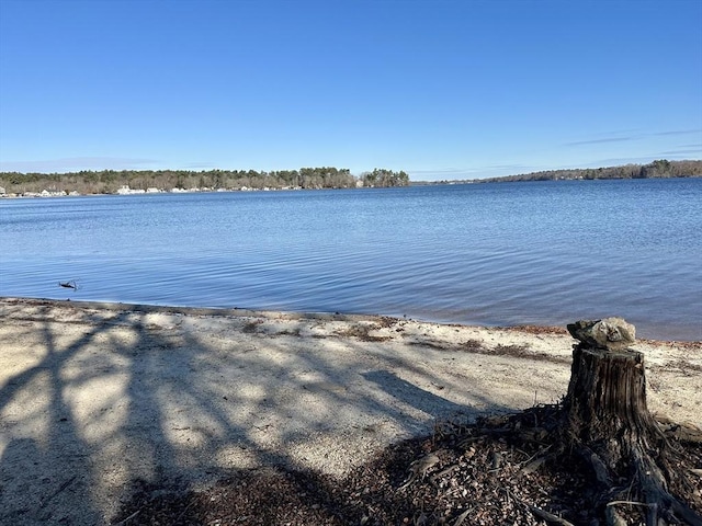 view of water feature