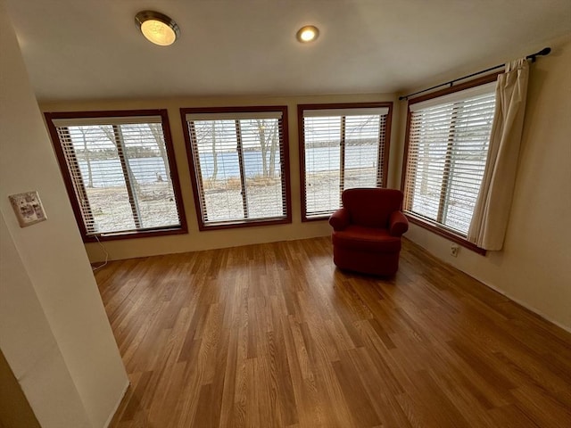 unfurnished room featuring plenty of natural light and light hardwood / wood-style floors