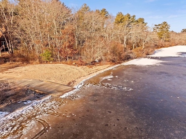 view of local wilderness