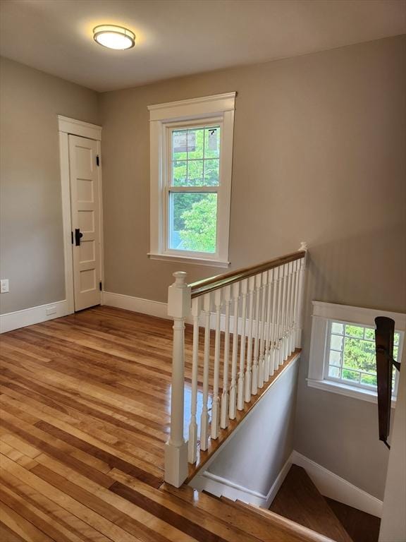 9 Varney St, Worcester, MA 01605 - stairs with wood finished floors and baseboards