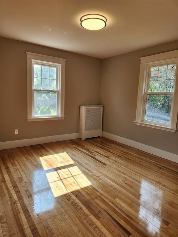 9 Varney St, Worcester, MA 01605 - unfurnished room featuring healthy amount of natural light and light wood-style floors