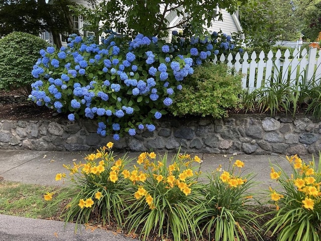 exterior details with fence