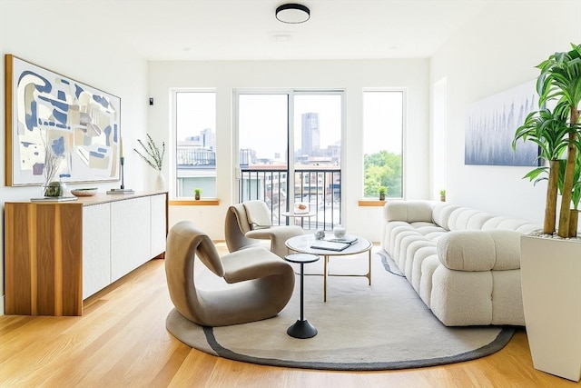 58 Kent St Unit 404, Brookline, MA 02445 - living room featuring light wood-style floors and plenty of natural light