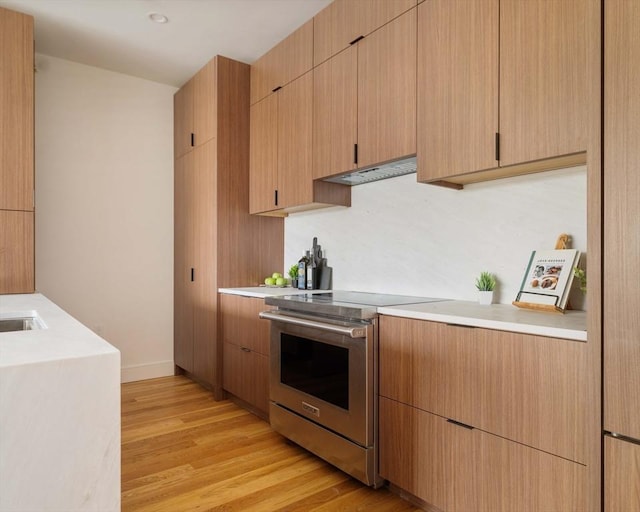 58 Kent St Unit 404, Brookline, MA 02445 - kitchen with stainless steel electric stove, light countertops, light wood finished floors, baseboards, and modern cabinets