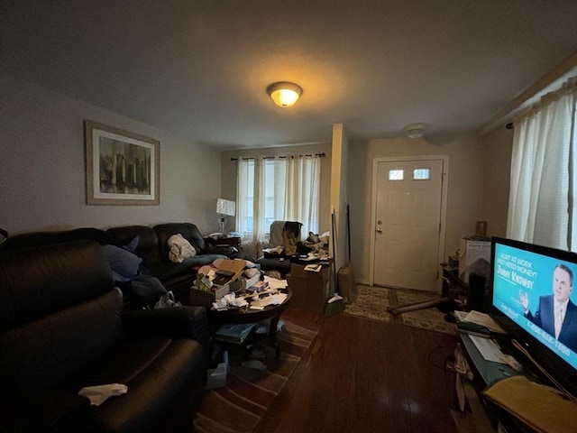 living room featuring hardwood / wood-style floors