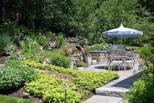 130 Hickory Rd, Weston, MA 02493 - view of yard featuring a patio area and an outdoor kitchen