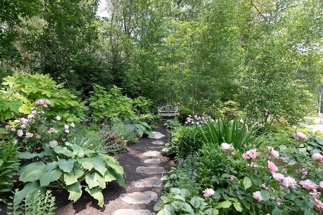 130 Hickory Rd, Weston, MA 02493 - view of yard