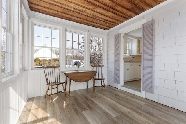 sunroom with sink and wood ceiling