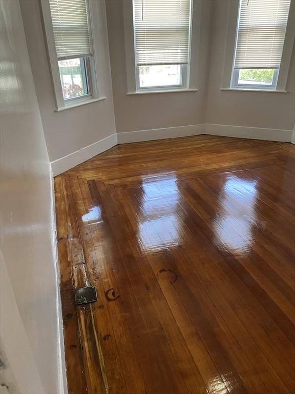 spare room featuring wood-type flooring