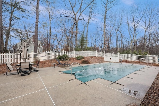 view of pool with a patio