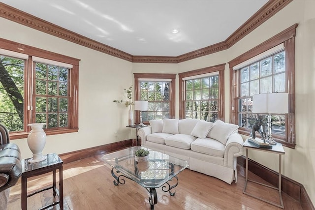 72 Charlemont St, Newton, MA 02461 - living room with baseboards, plenty of natural light, wood finished floors, and ornamental molding