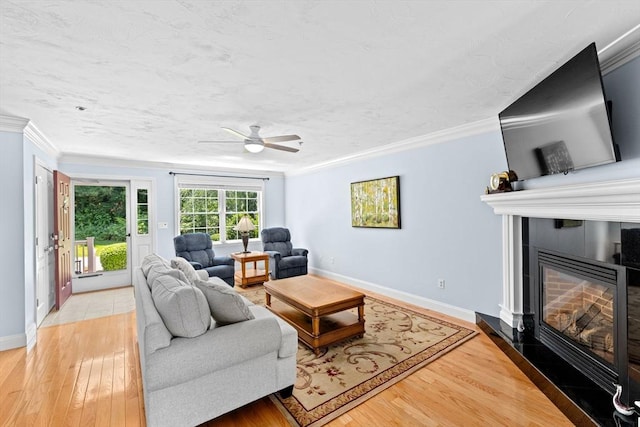 43 N Main St Unit B, Berkley, MA 02779 - living area with a glass covered fireplace, light wood-style floors, crown molding, and ceiling fan