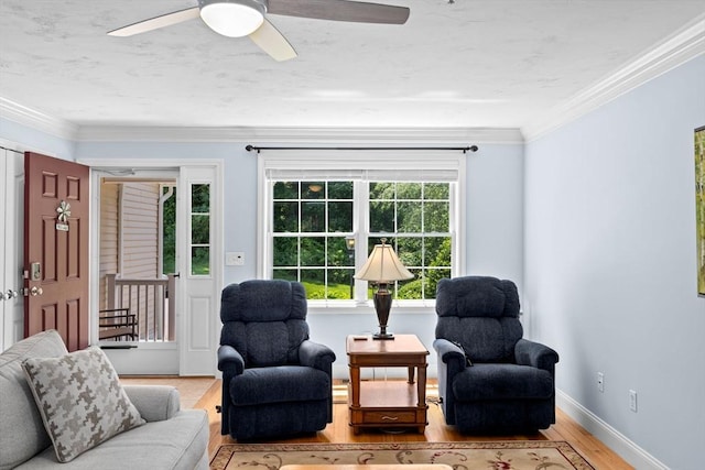 43 N Main St Unit B, Berkley, MA 02779 - living area featuring wood finished floors, ceiling fan, and crown molding
