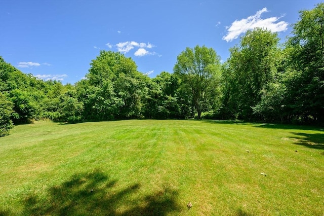 89 W Elm St, Pembroke, MA 02359 - view of green lawn featuring a forest view