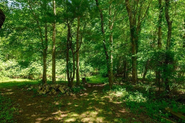 89 W Elm St, Pembroke, MA 02359 - view of woods