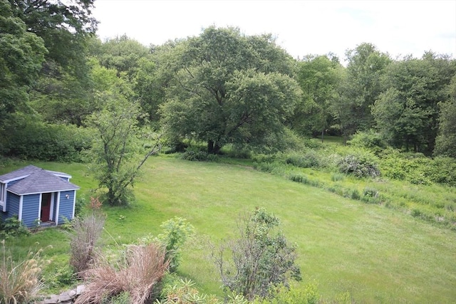 view of yard with an outdoor structure